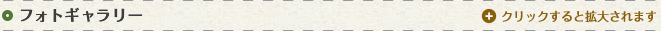 フォトギャラリー／クリックすると拡大されます