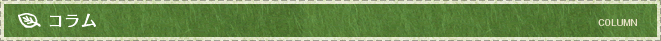 コラム