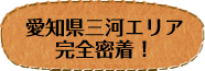 愛知県三河エリア完全密着！