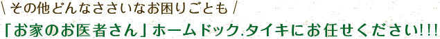 その他どんなささいなお困りごとも「お家のお医者さん」ホームドック.タイキにお任せください!!!